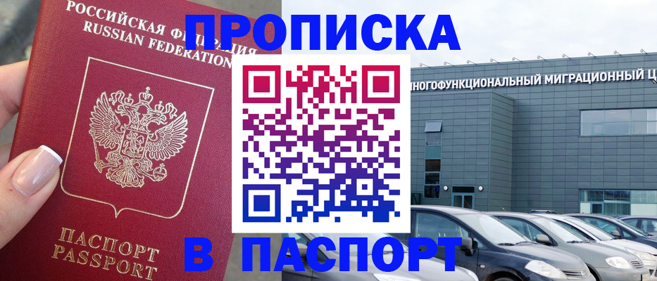 прописка для школы в Мурманске